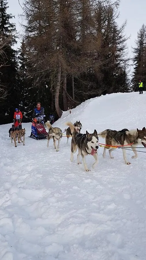 Appart Zig-Zag Les Coches La Plagne